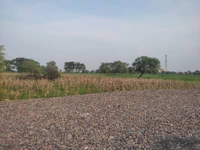 30 Acrs Agricultural Land For Sale Near Nankana Sahib