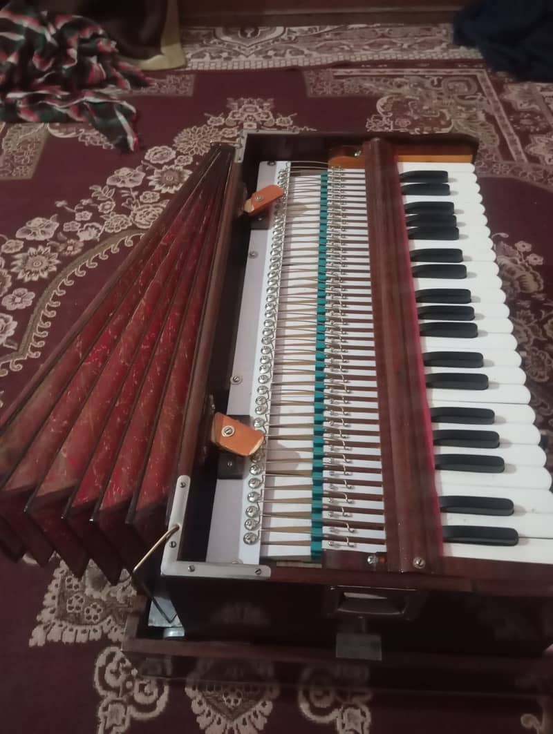 Musical instruments 9