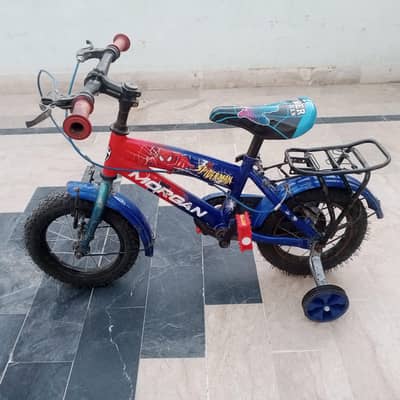 MORGAN IMPORTED CYCLE - 12 SIZE - 0320/2257/271