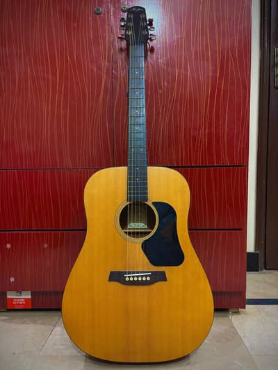 Walden Hawthorne Hd 220 imported Acoustic Guitar for sell