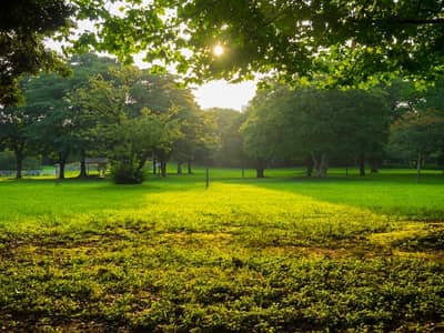 10 Marla Plot Available On Very Hot Location