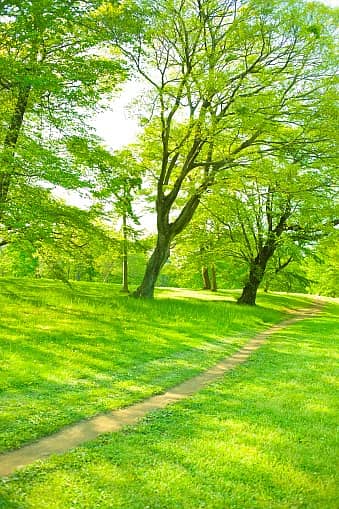 4 Kanal Plot available on Very Hot Location