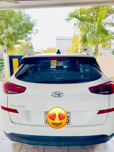 Freash for home used as a decoration