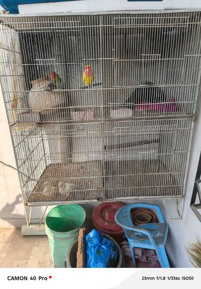 4 PORTION CAGE FOR SALE