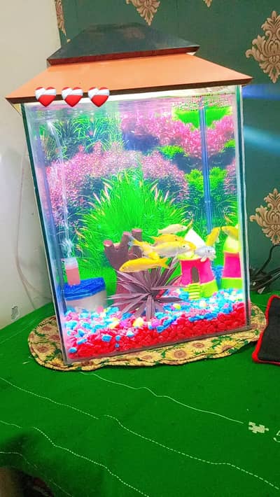 aluminium fish frame