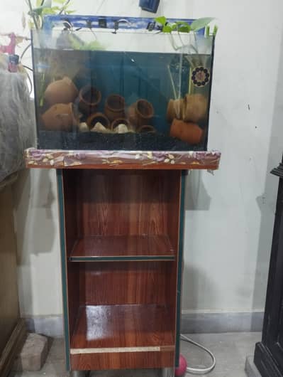 Aquarium tank & accessories
