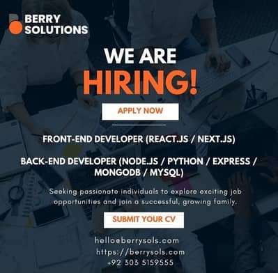 MERN Stack Developer