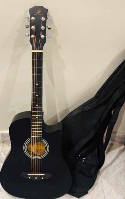 selling my new guitar unused