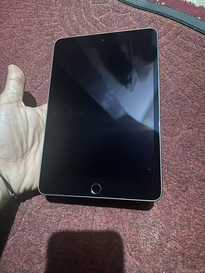 iPad mini 5 0