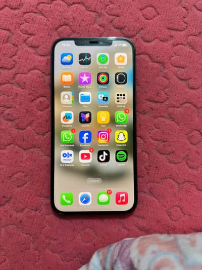 Iphone 12 pro max factory unlock