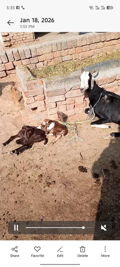 urgent sale need money. 03164992772