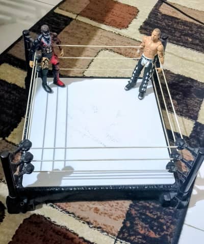Wwe Action Figures Wrestler Ring