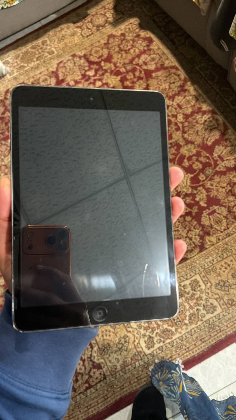 Ipad mini 2 1
