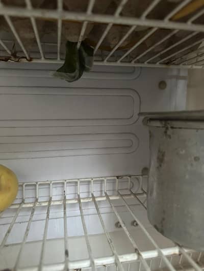 original condition full size