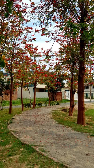 Pair Of Kanal Available For Sale On 60 Feet Road Location