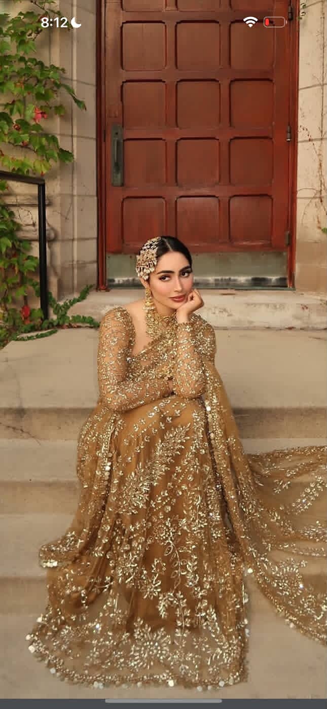 Saree 1