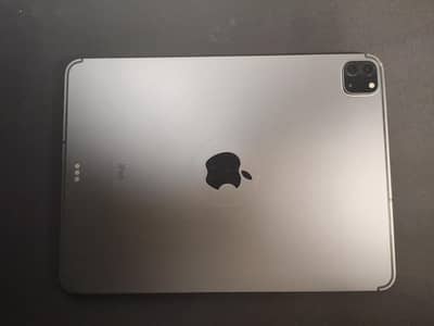 iPad pro 11-inch 2nd generation with pencil