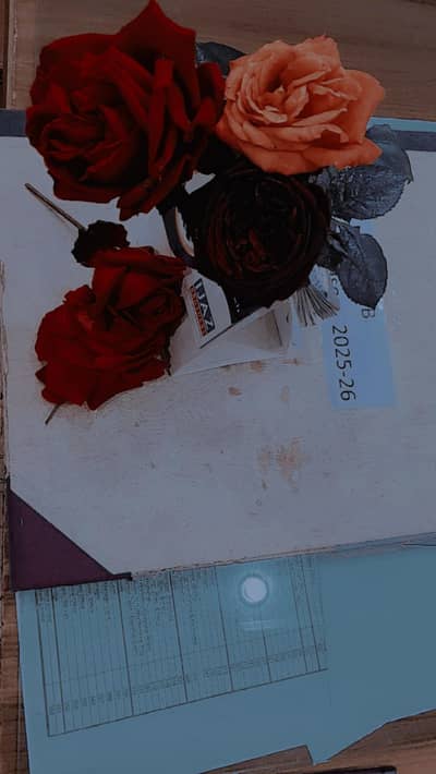 saloon py kaim ky liyea ak larka chiya