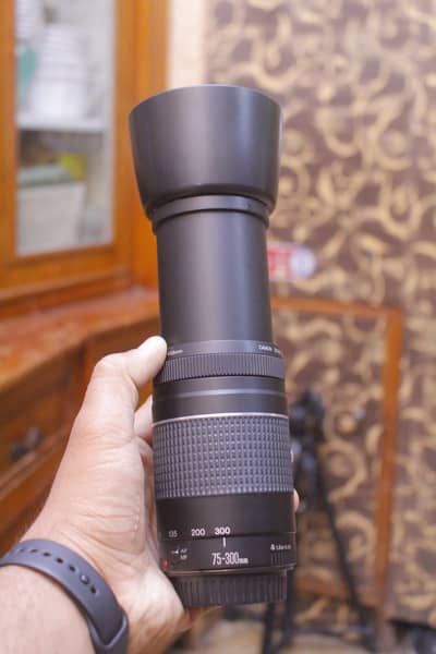 Canon 75-300mm Telephoto Lens – 10/10 Condition with Hood