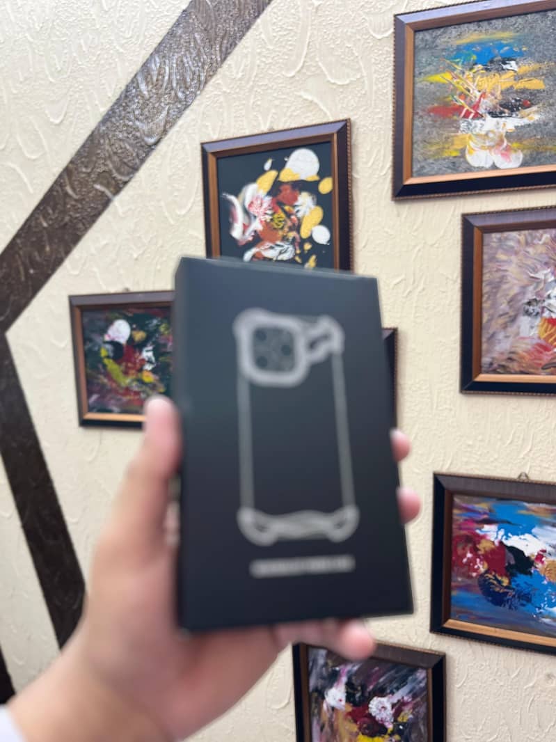 Iphone 13 pro max case 2