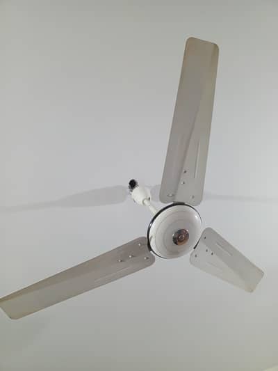 پاک فین 56 انچ