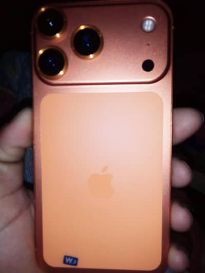 xr converted to 17 pro