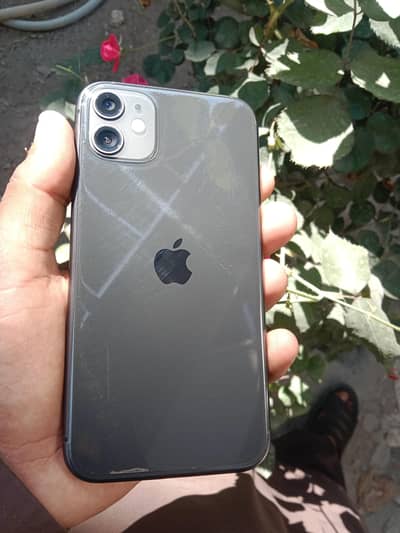 iphone 11 lush condition 10/9 waterpack 03219554168