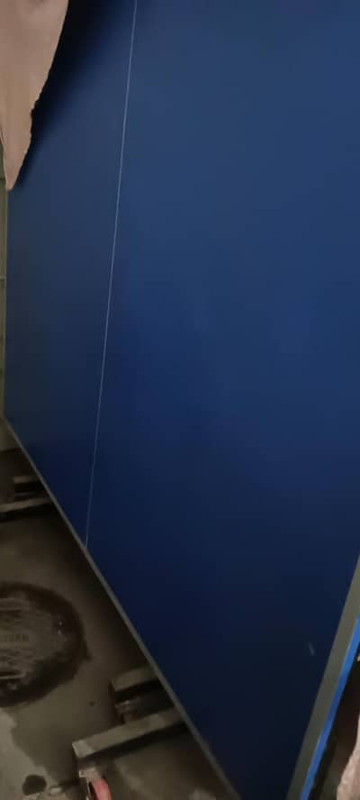 Table tennis with net