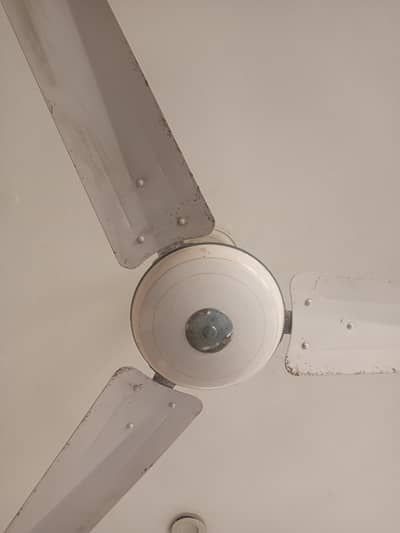 ceiling fans