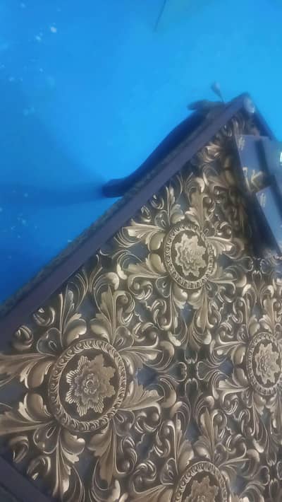 An elegant Large  Dining Table along with 6 Decent Chairs