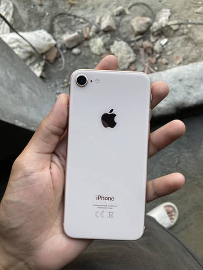 IPhone 8 Pta Approved