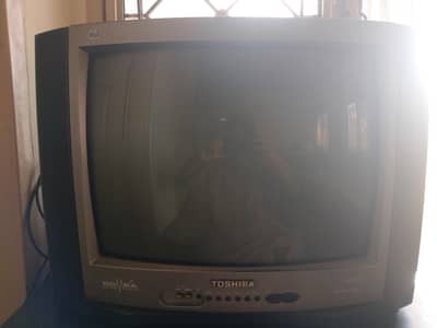 TV with dish