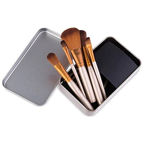 Pack of 12 Professional Makeup Brushes Set in Steel Box