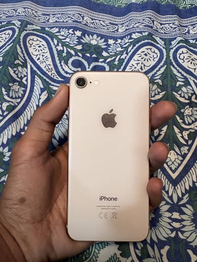 I phone 8 pta approve