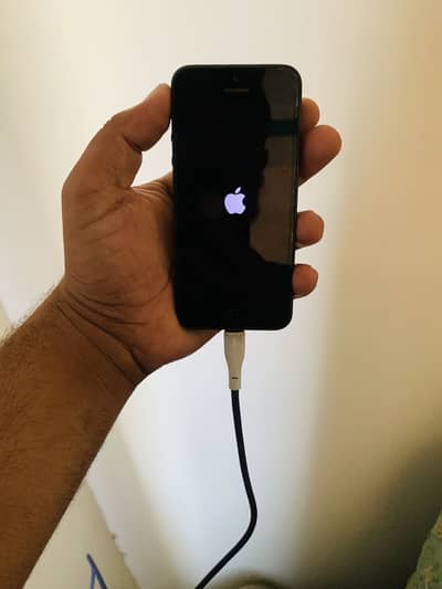 IPhone SE and iPhone 5