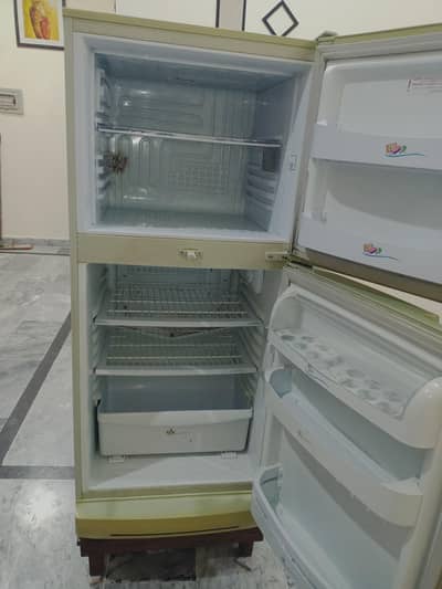 pel fridge 12 cubic