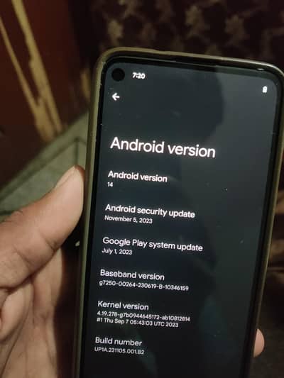 pixel 4a 5g  patch remove hai