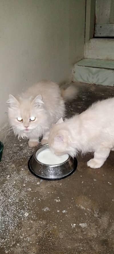 urgent sale going to Islamabad