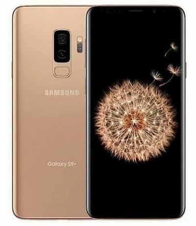 Samsung Galaxy S9 Plus NO BOX NO CHARGER. . .