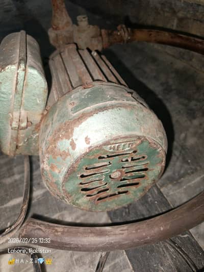 mouse moter for sale