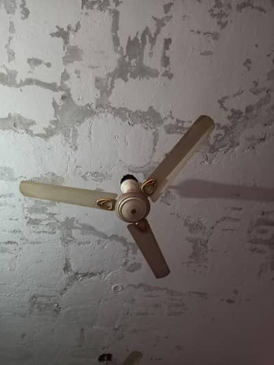 ceiling fans