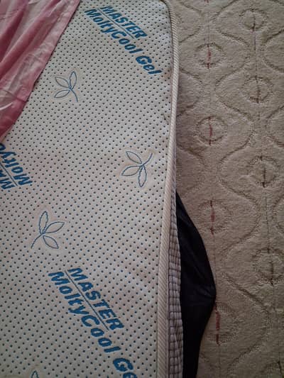 MASTER ORTHO MOLTYFOAM