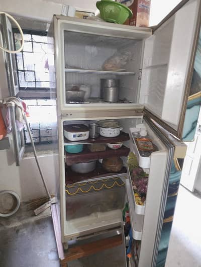 Golden Color Refrigerator