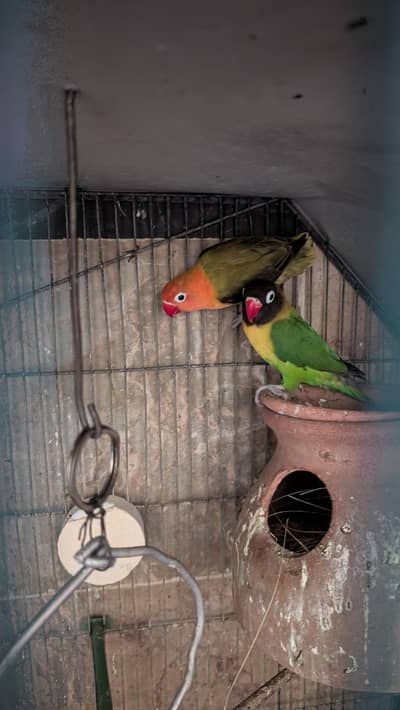 bahut ach joda hai bolte bhi ach hai