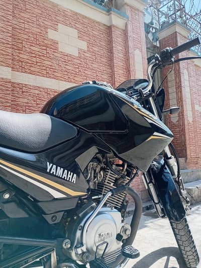 Yamaha Ybr 125 2021