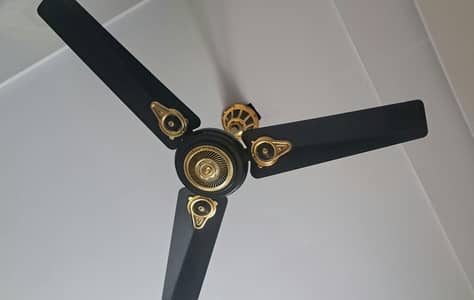 AC ceiling fan