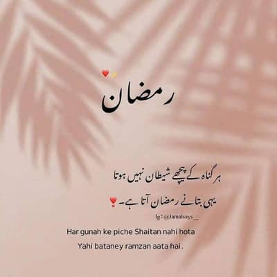 New Zero meter bike 2026