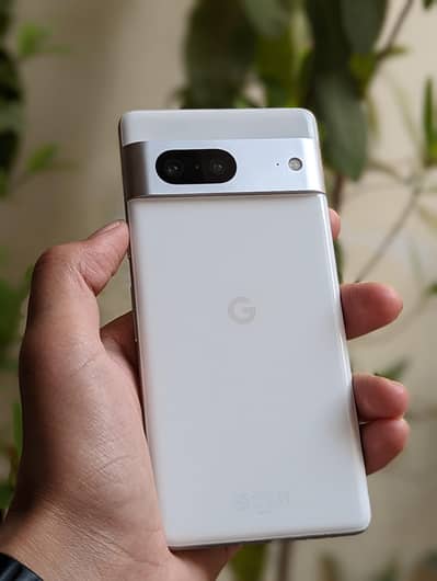 Google Pixel 7 Approved