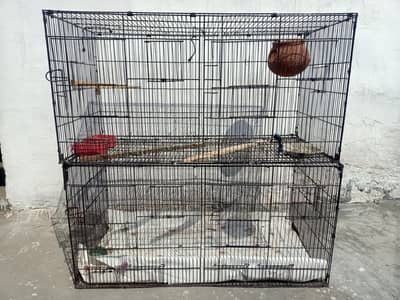 10/10 good Condition birdS&Hen cage
