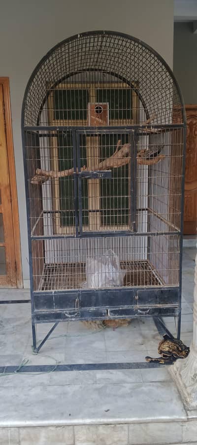 large Cage for Big birds . Cockatoo and macaw breeding cage.